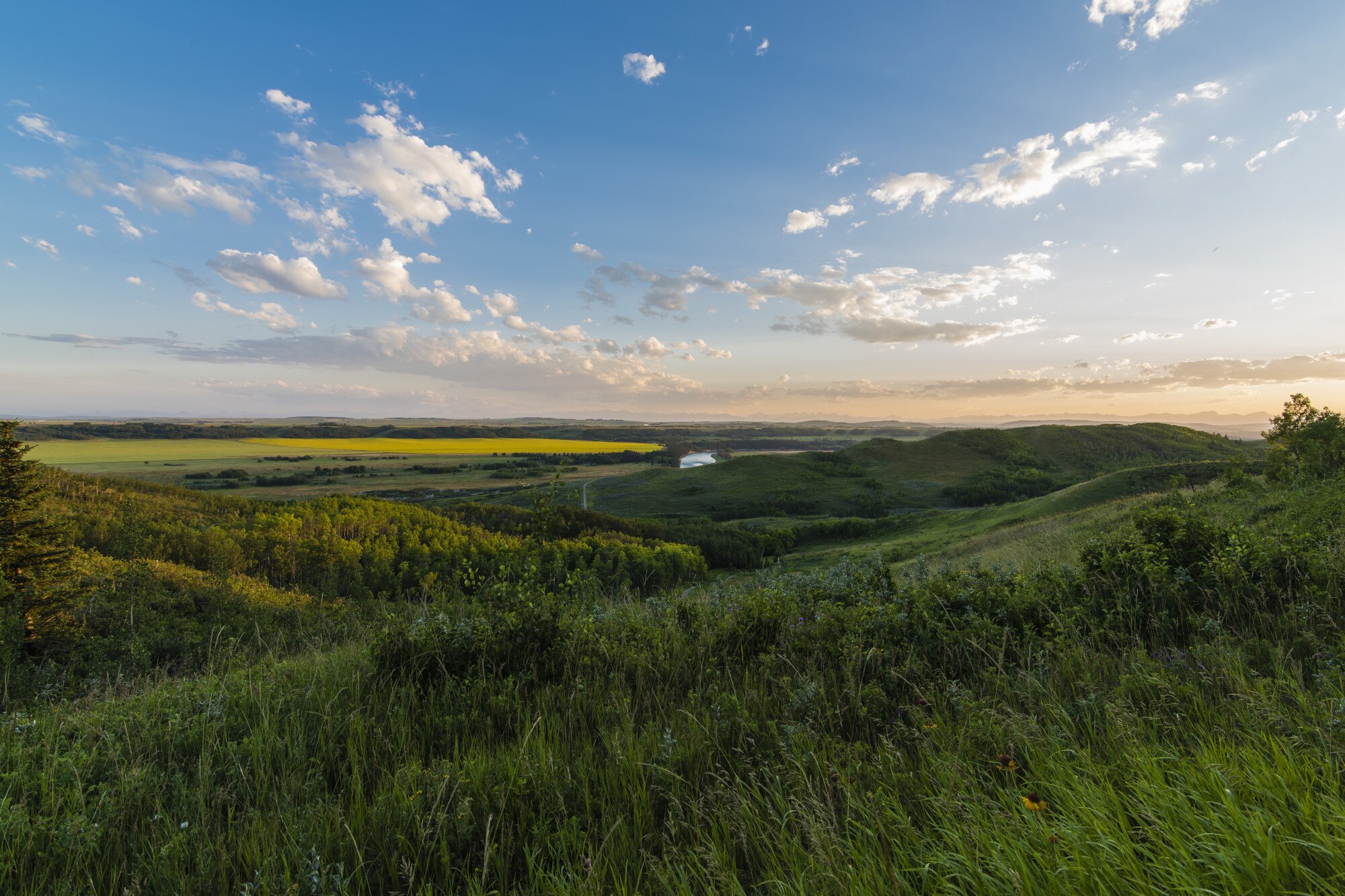 Vista panorámica de un paisaje verde con horizonte claro, representando visión sin obstáculos
